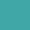 Meow Big Cat Skateboard Deck - Teal - 8.25" - Image 3